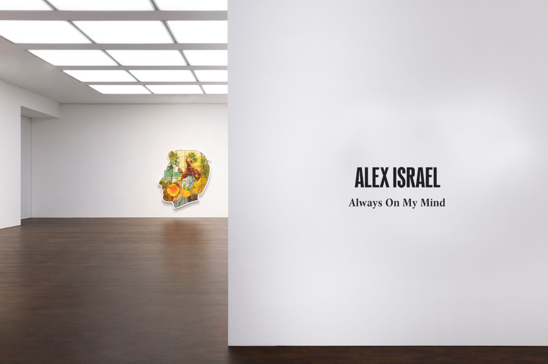 Alex Israel - At the Huntington