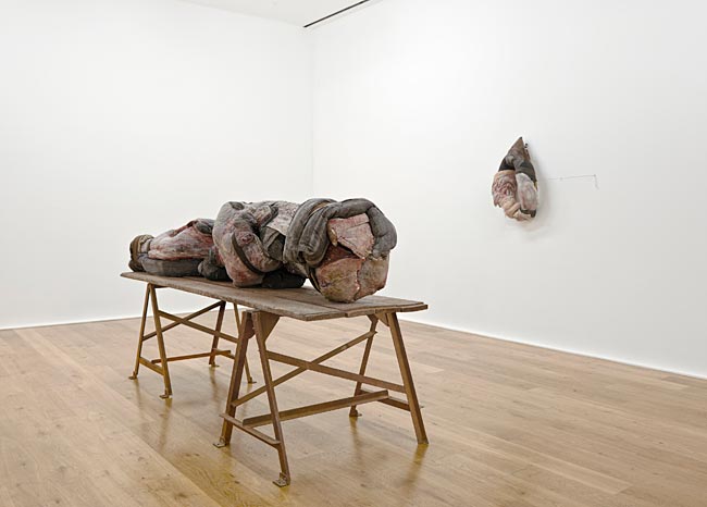 Berlinde De Bruyckere: Met tere huid / Of tender skin at Hauser & Wirth