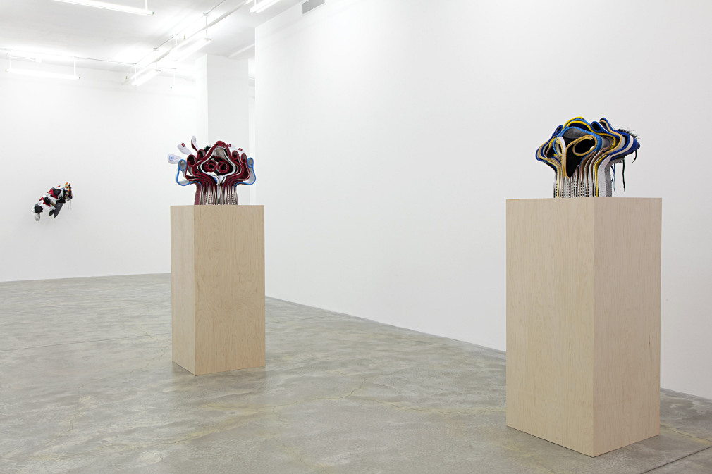 Brian Jungen at Casey Kaplan