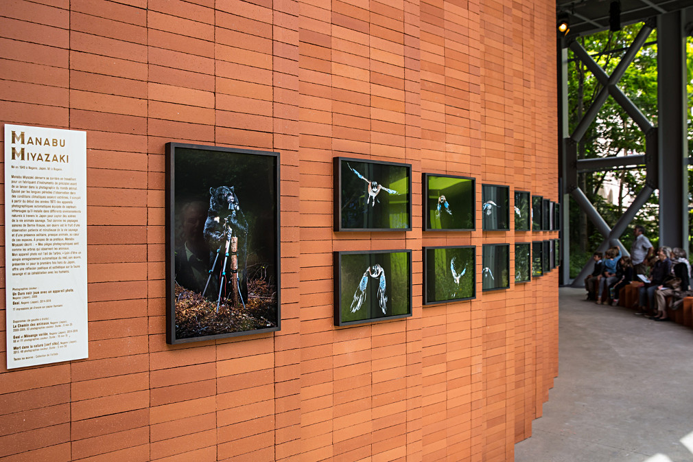 The Great Animal Orchestra at Fondation Cartier