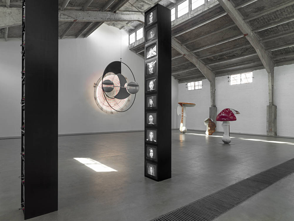 Carsten Höller: Method at Galleria Continua