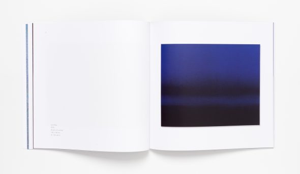 Jiang Dahai: Diffusion - buy the book - GalleriesNow.net