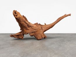 Ai Weiwei, Fly, 2019 