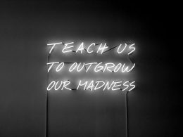 Alfredo Jaar, Teach Us To Outgrow Our Madness, 1995