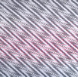 Bridget Riley, Cataract 3, 1967