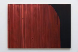 Mike Kelley, Wood Grain #5, 2003