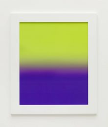 James Welling, IYPD, 2018