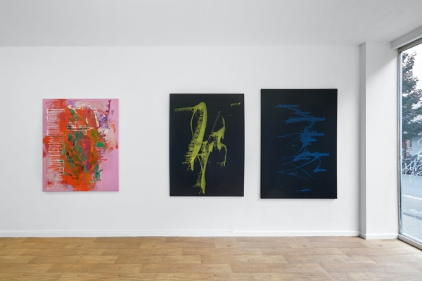 Exclusive 360 – Anne Hardy at Maureen Paley