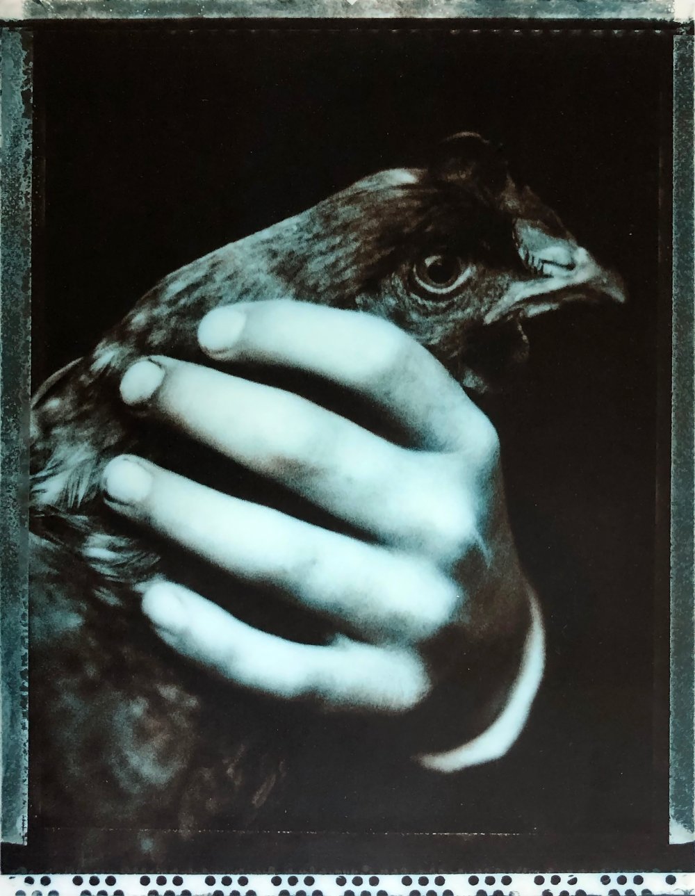 Roger Eaton, Hand, Cornwall, 1989