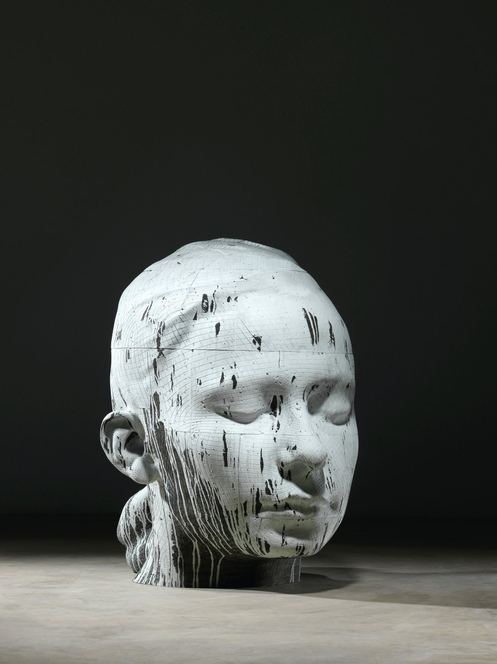 Jaume Plensa, Lou, 2019