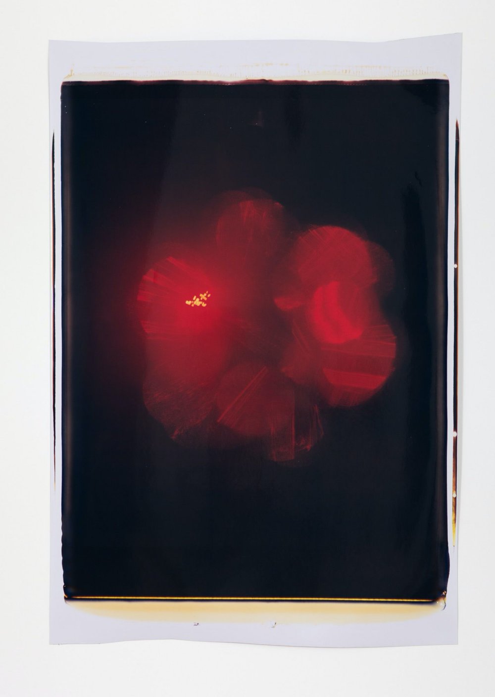 Ross Bleckner, Untitled, 2008