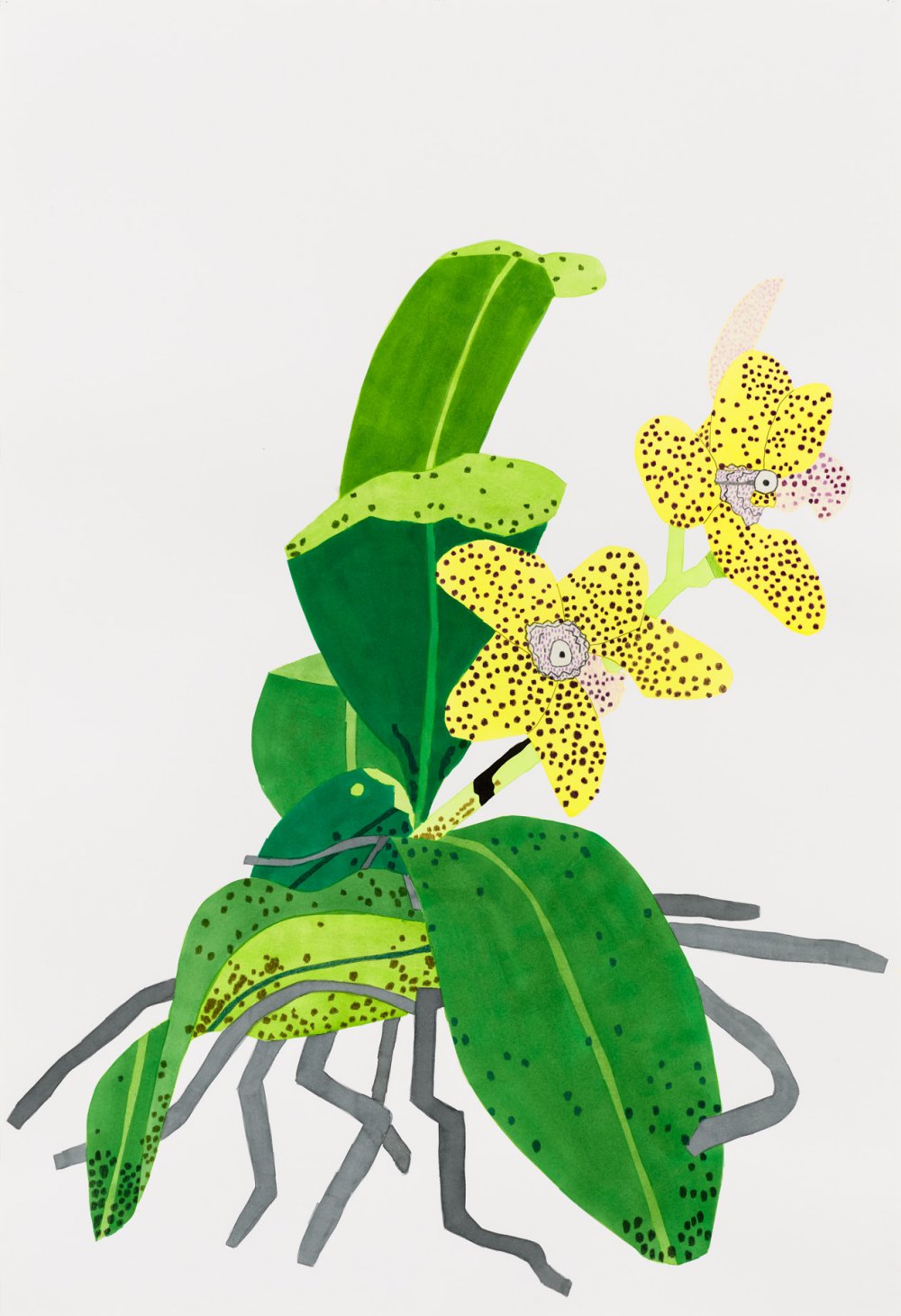 Jonas Wood, Yellow Orchid with Purple Dots, 2020