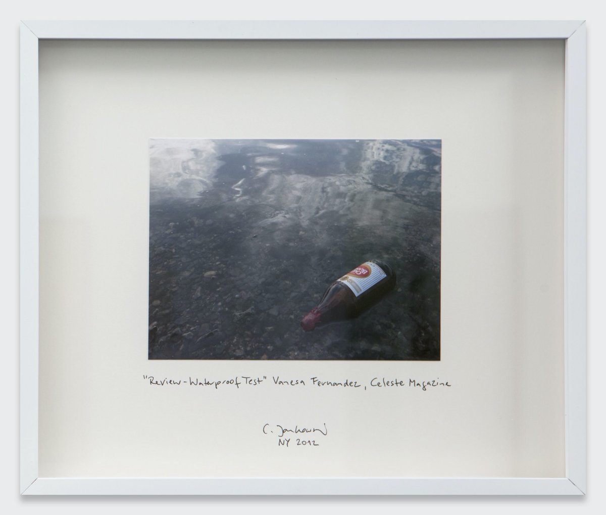 Christian Jankowski, Review – Waterproof Test, 2012