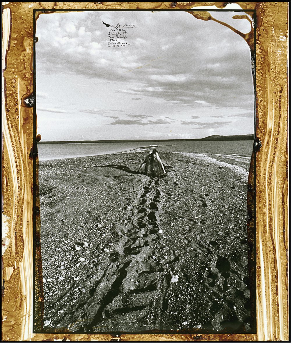 Peter Beard, Man without a dog, Ode to Bacon, Alia Bay, Shingle Island, Lake Turkana, 1965/1998