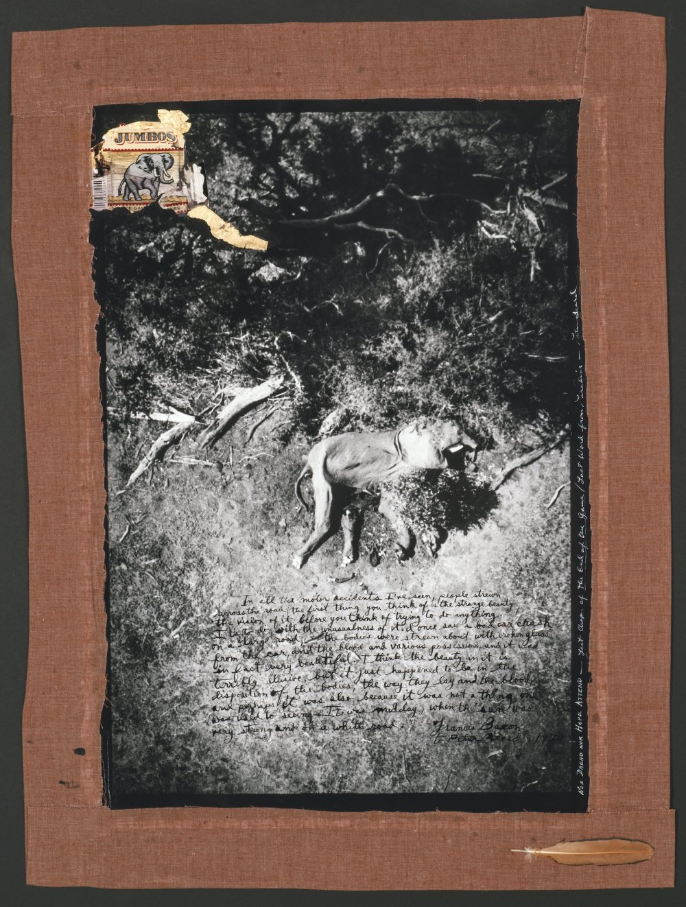 Peter Beard, ICP Dead Elephant, 1971-2/1977