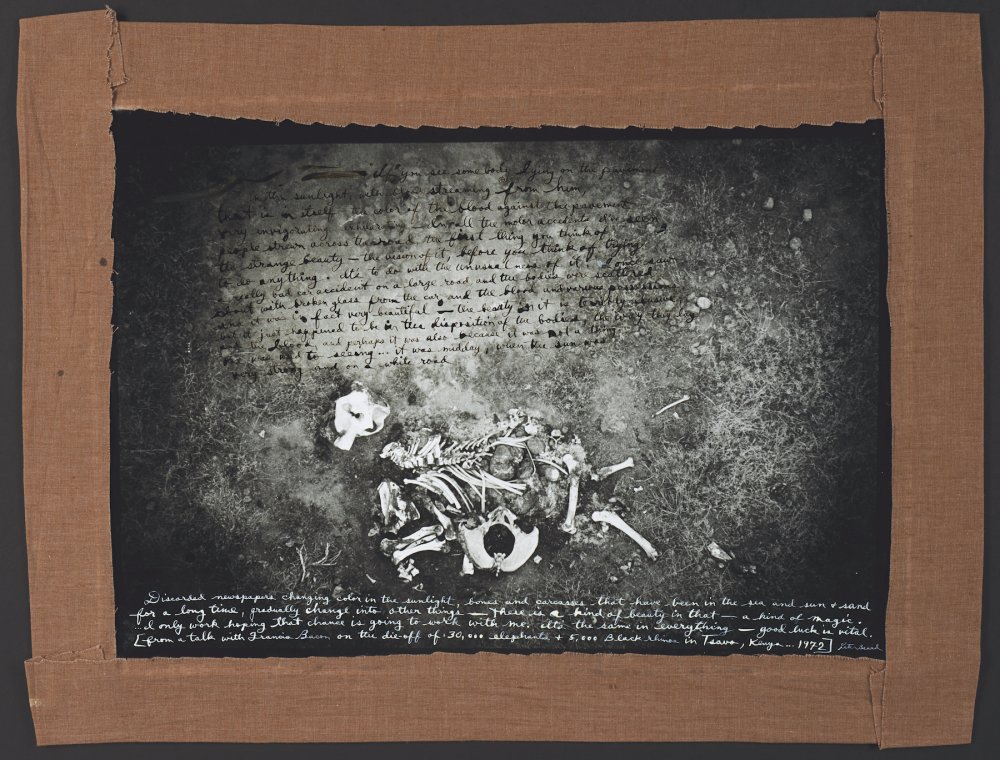 Peter Beard, ICP Dead Elephant, 1971-2/1977