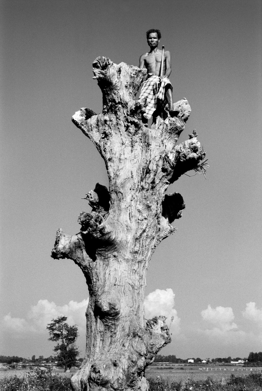 Manoj Kumar Jain, Man on tree on the way to Nagarnar. Bastar, India, 2002