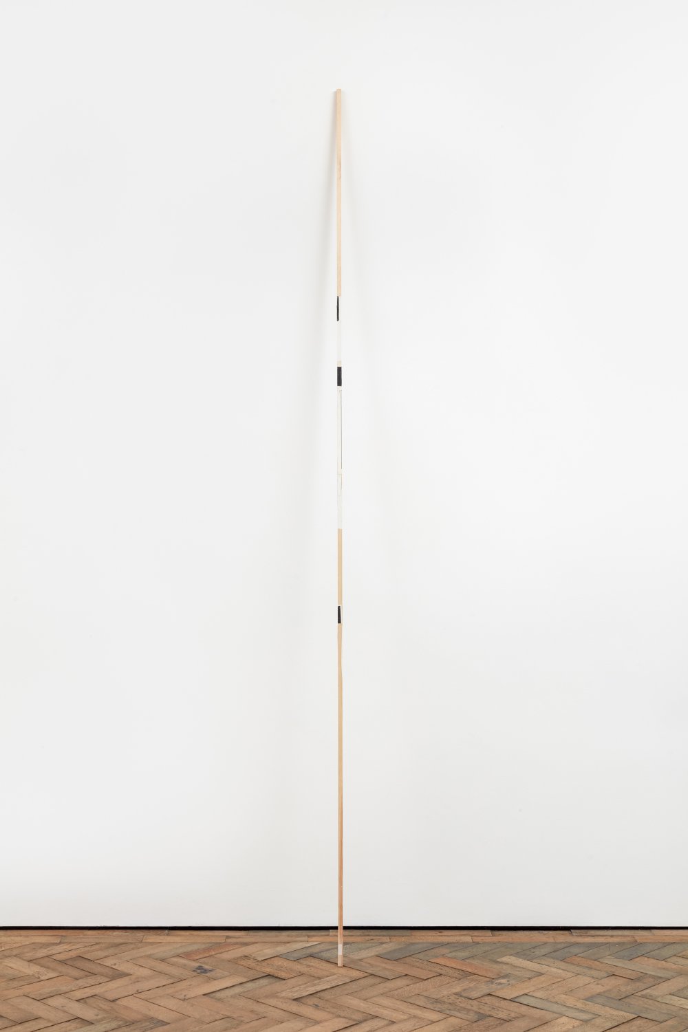 Sarah Rapson, Important (Stick), 2021