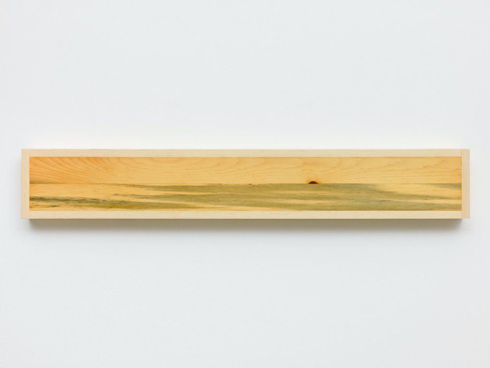 Ron Griffin, Untitled (RGP 220-94), 1994