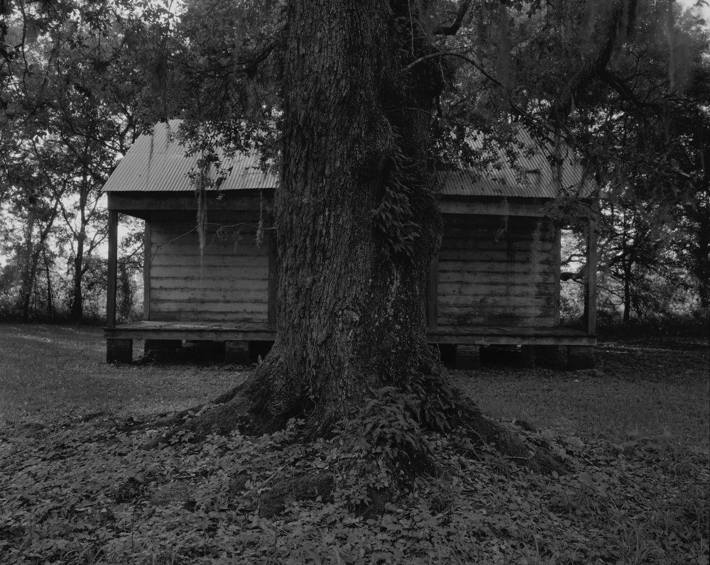 Dawoud Bey, Tree and Cabin, 2019