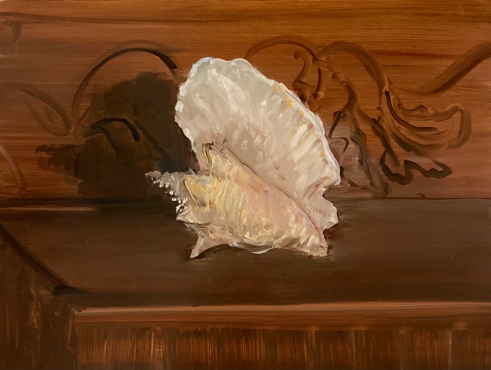 Deborah Brown, Conch, 2020