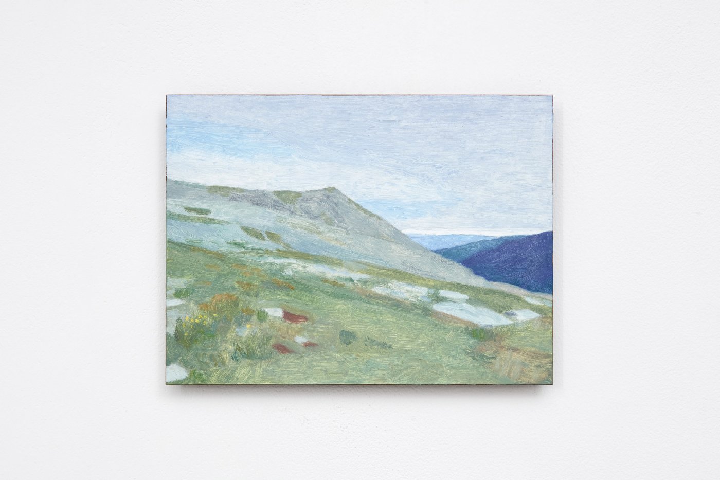 Eleanor Ray, Alpine Sedge Meadow, 2021