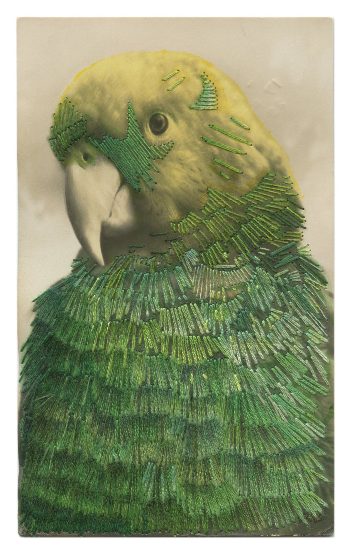 Julie Cockburn, There's the Green Parrot