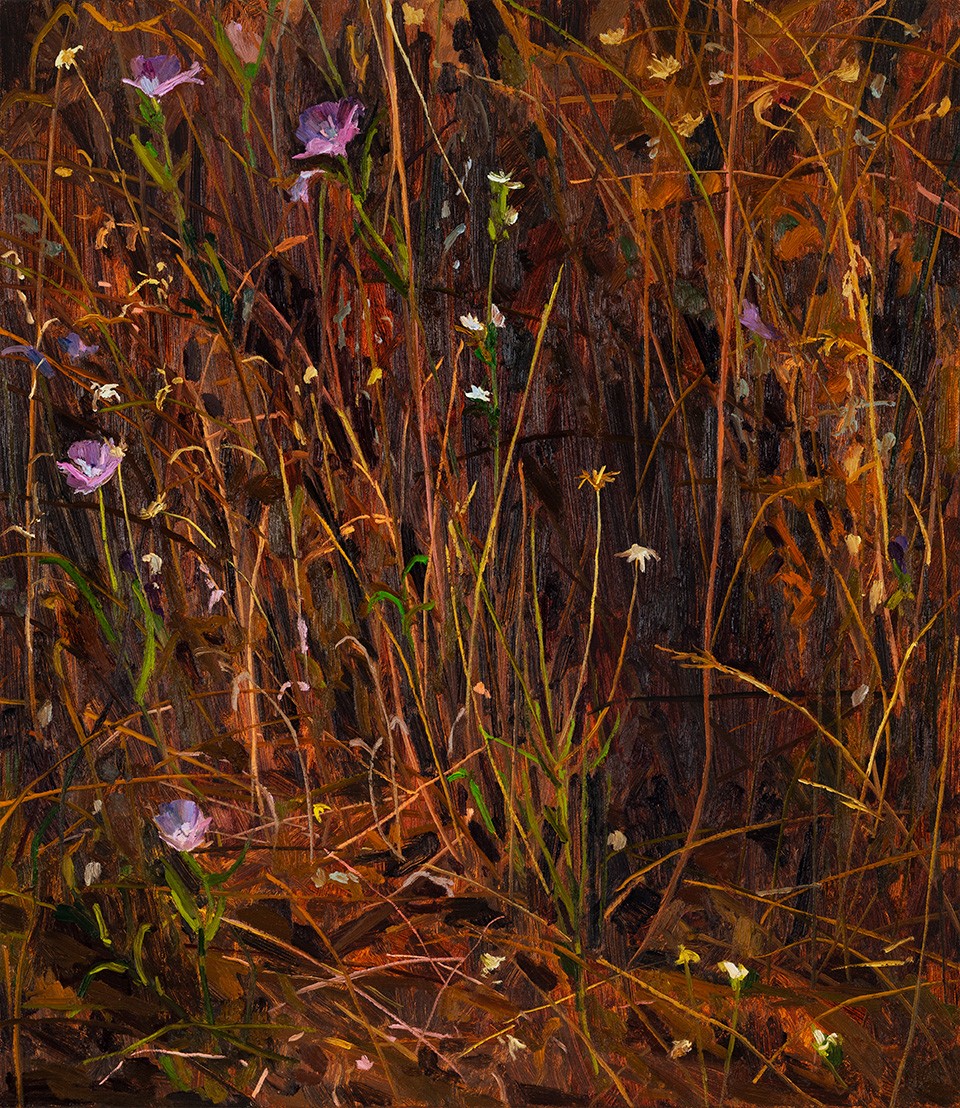 Claire Sherman, Wildflowers, 2020