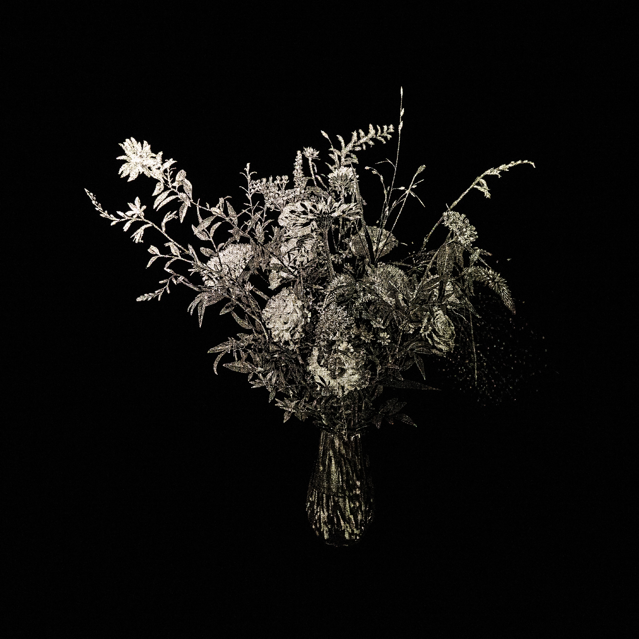 Choi Soowhan, Emptiness - Flower 02, 2021