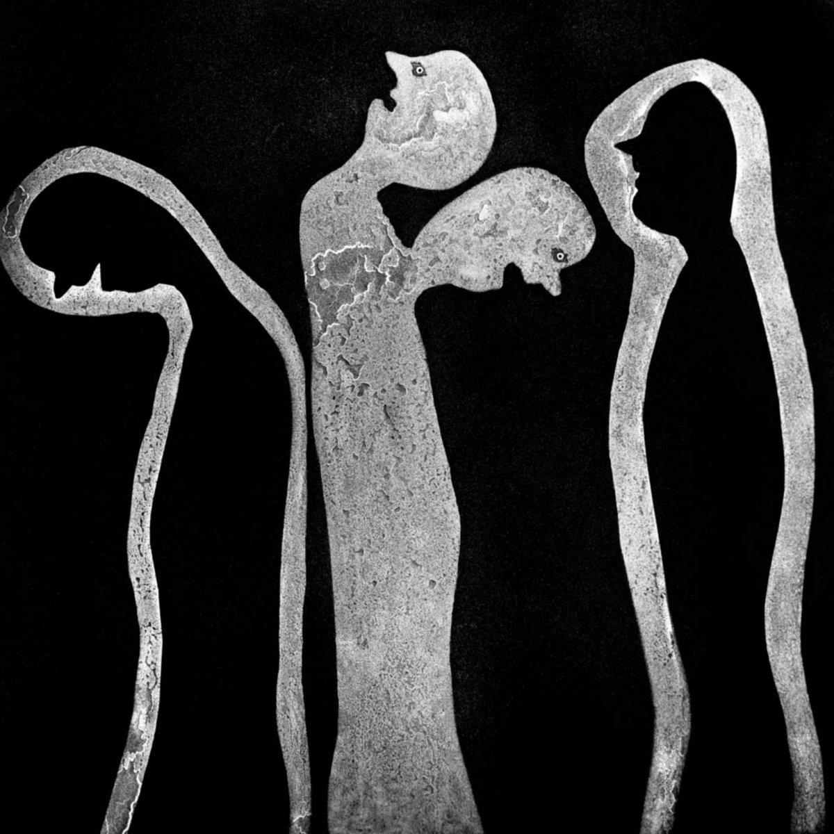 Roger Ballen, Shadows and Strangers, 2010