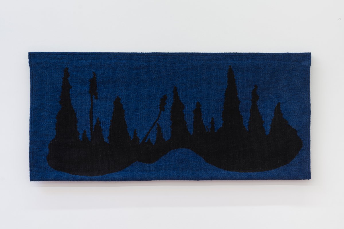 Aaron Spangler, Black Spruce Nocturne, 2024