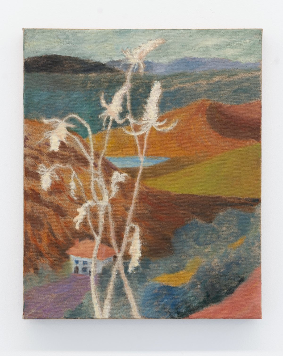 Sammi Lynch, Over Hillsides, 2024