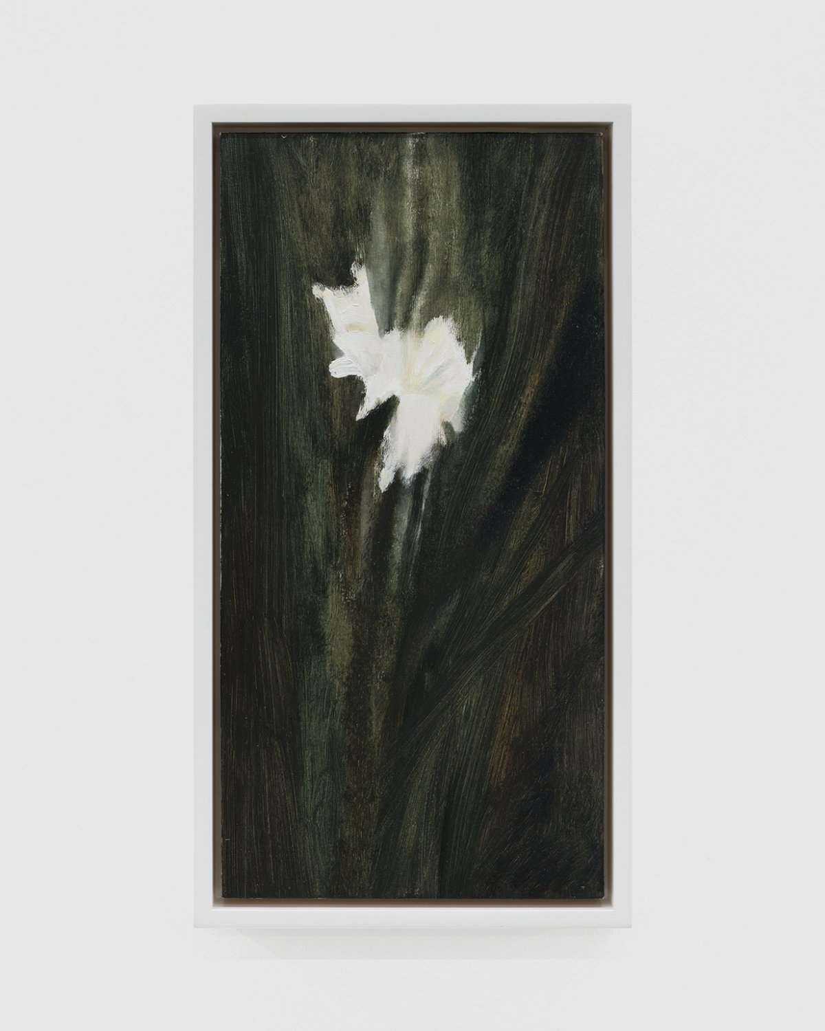 Ellen Siebers, White Gladiolus, 2024