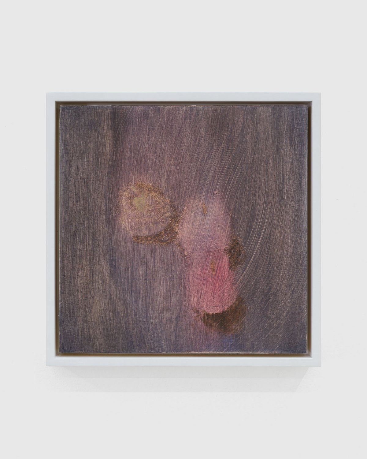 Ellen Siebers, plums, 2024