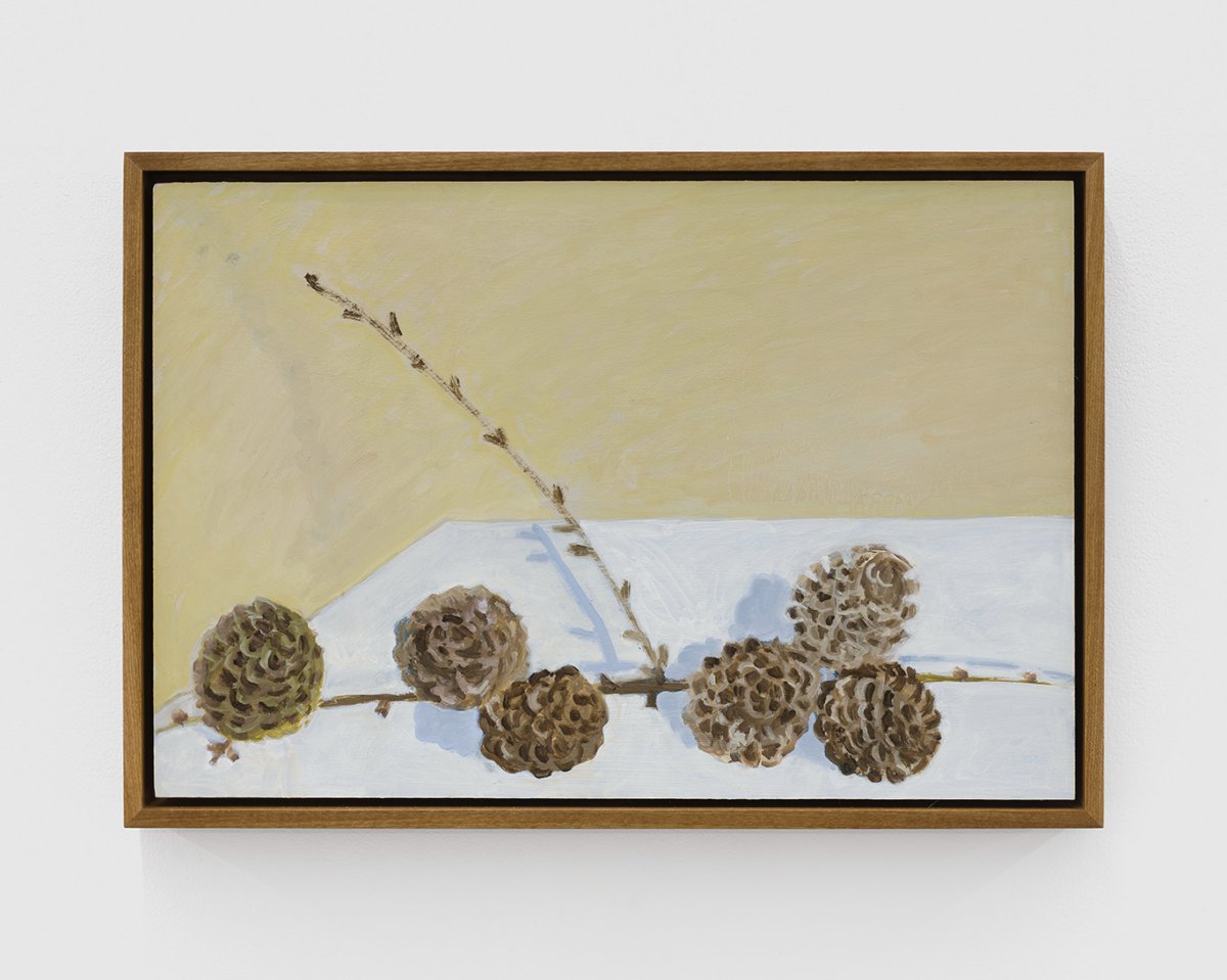 Lois Dodd, 6 Seed Cones, 2024