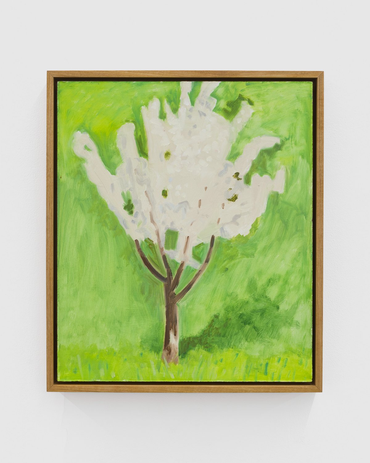 Lois Dodd, Apple Tree in Bloom - May, 2021