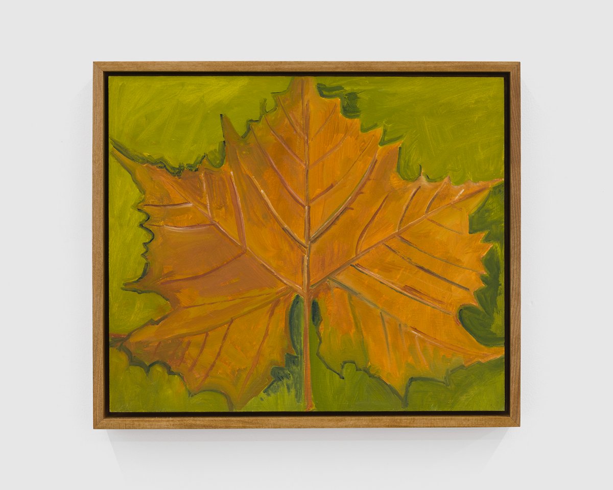 Lois Dodd, Maple Leaf, 2023