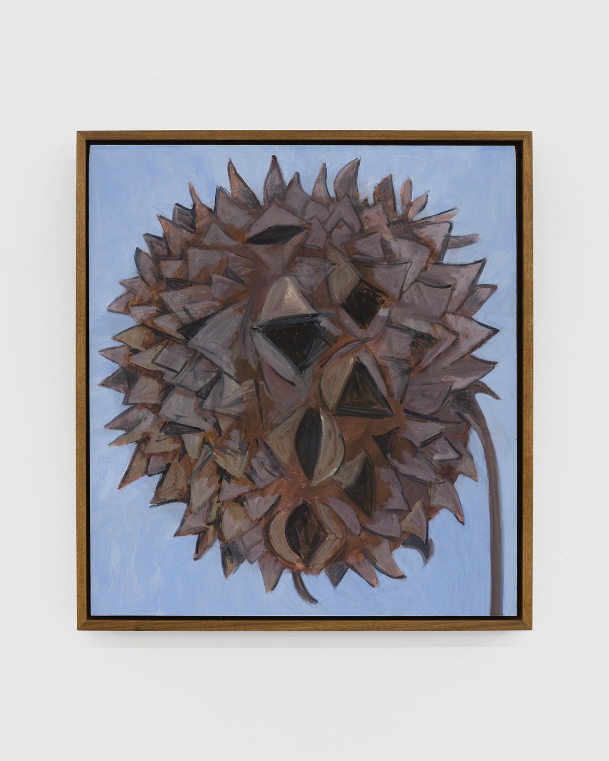 Lois Dodd, Sweet Gum Tree Seed Head, 2024