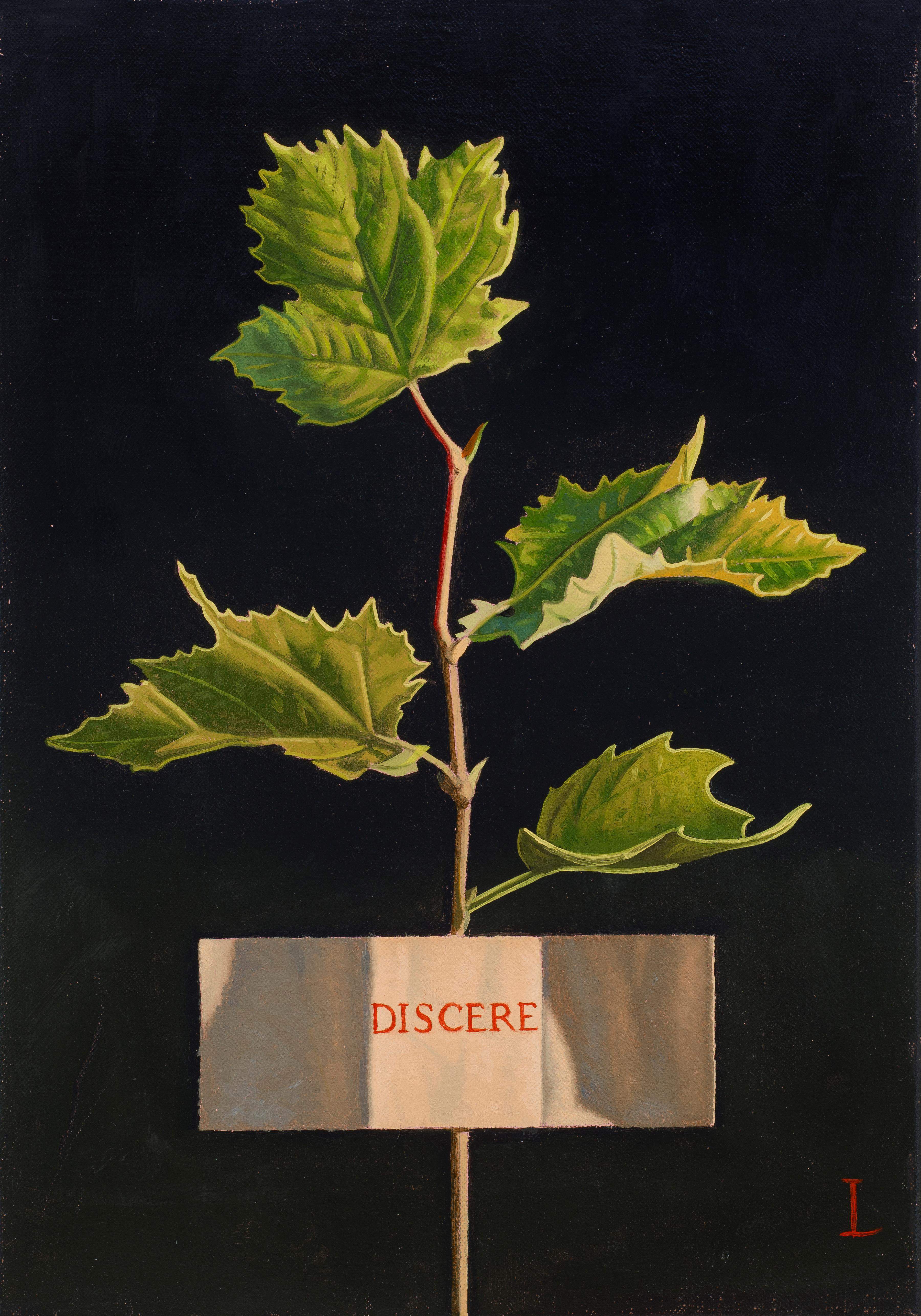 David Ligare, DISCERE (To Learn), 2023