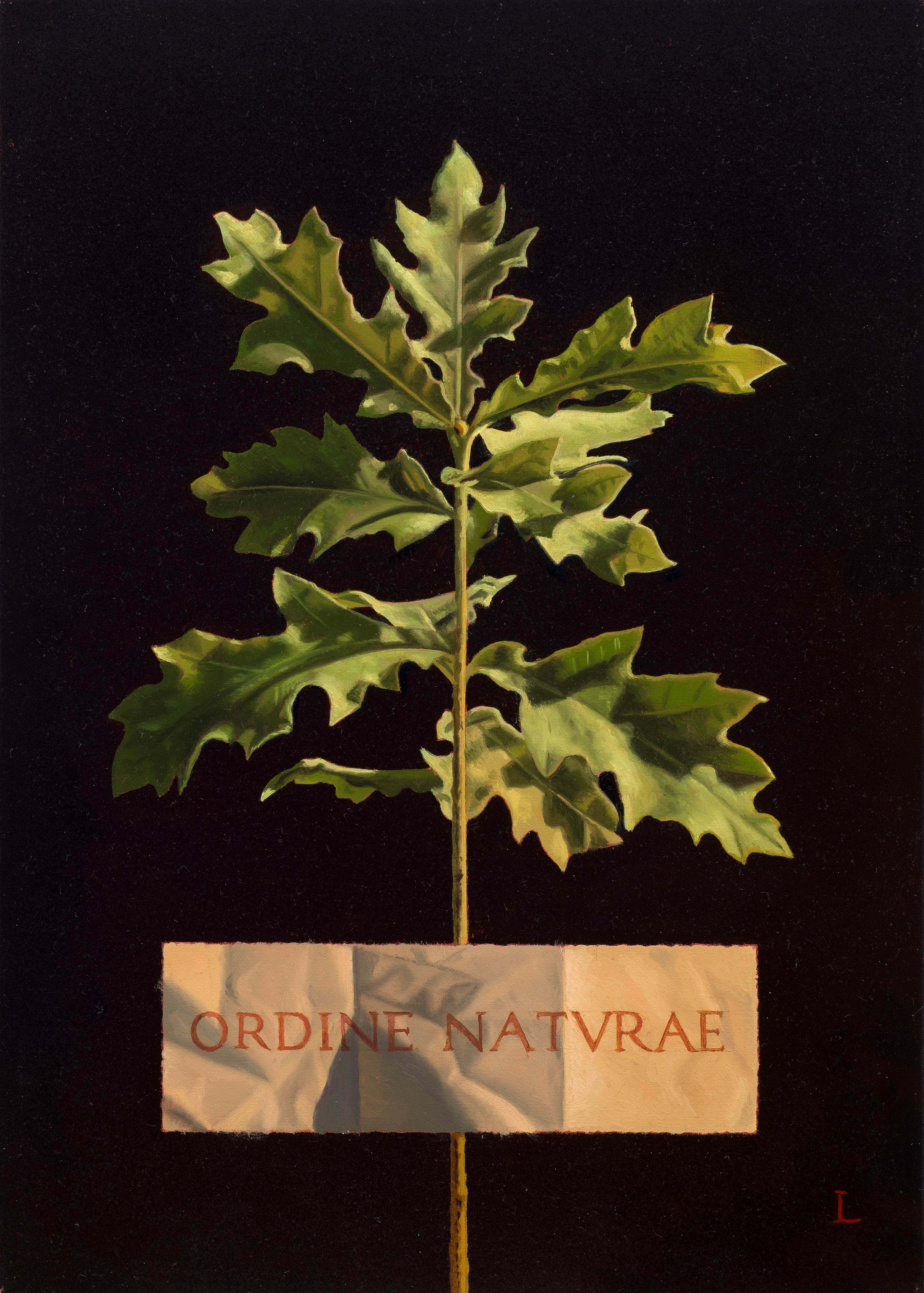 David Ligare, ORDINE NATURAE (The Order of Nature), 2015