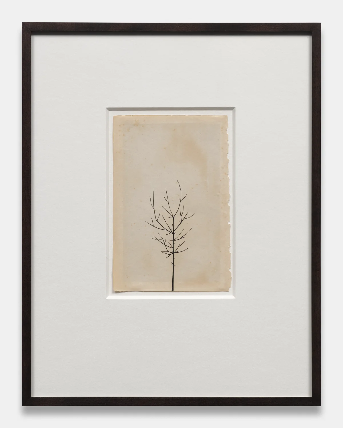 Peter Liversidge, Winter Drawing, 2019