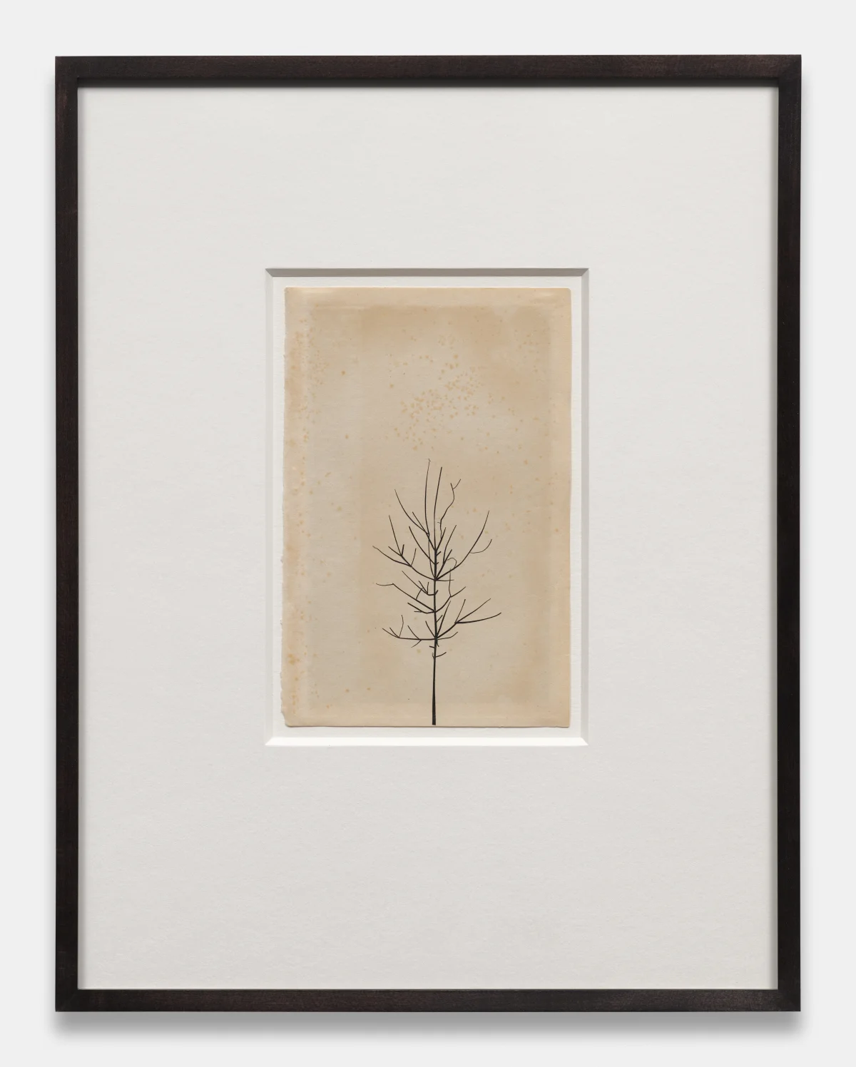 Peter Liversidge, Winter Drawing, 2019