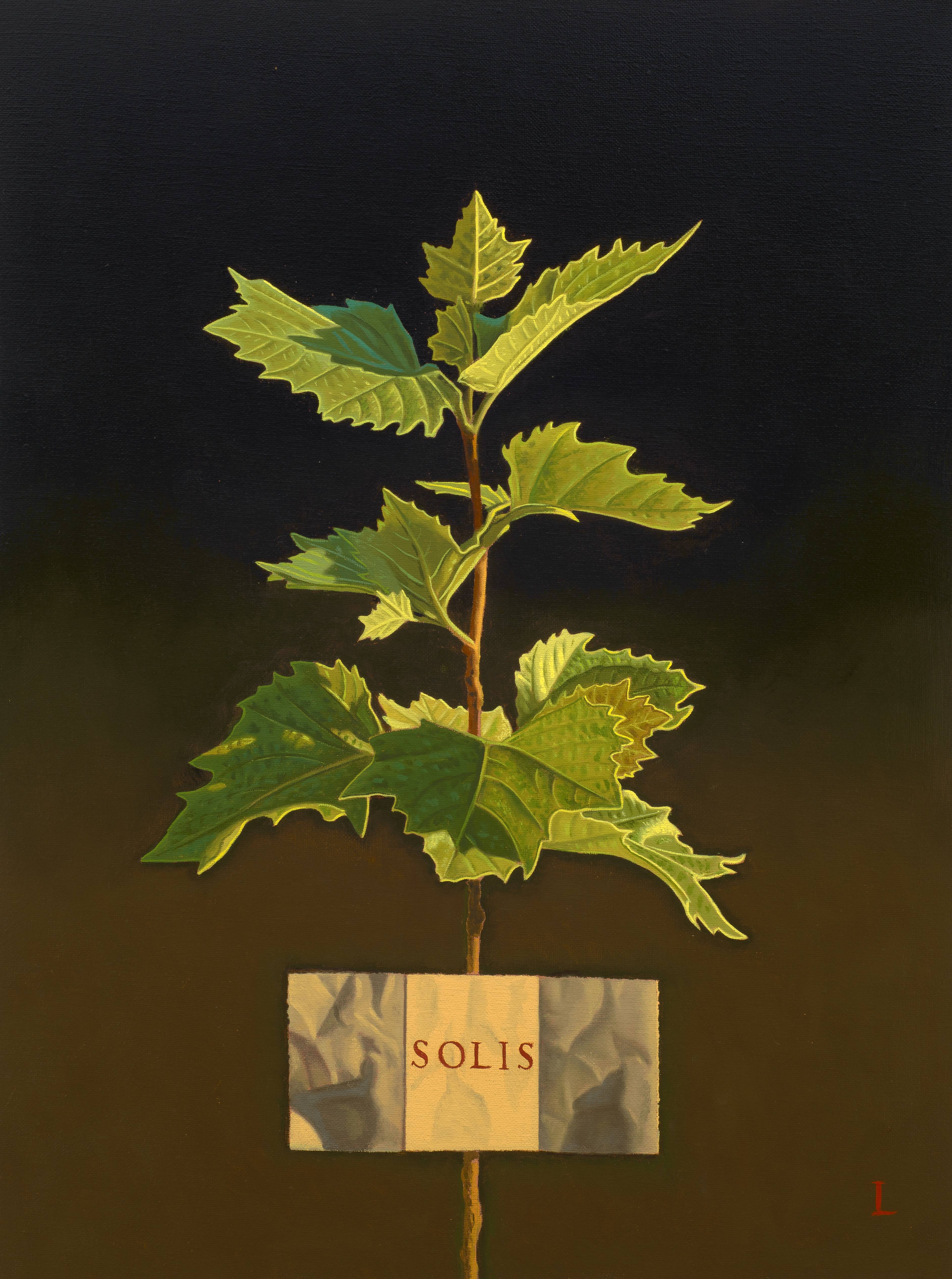 David Ligare, SOLIS (Sunlight), 2024