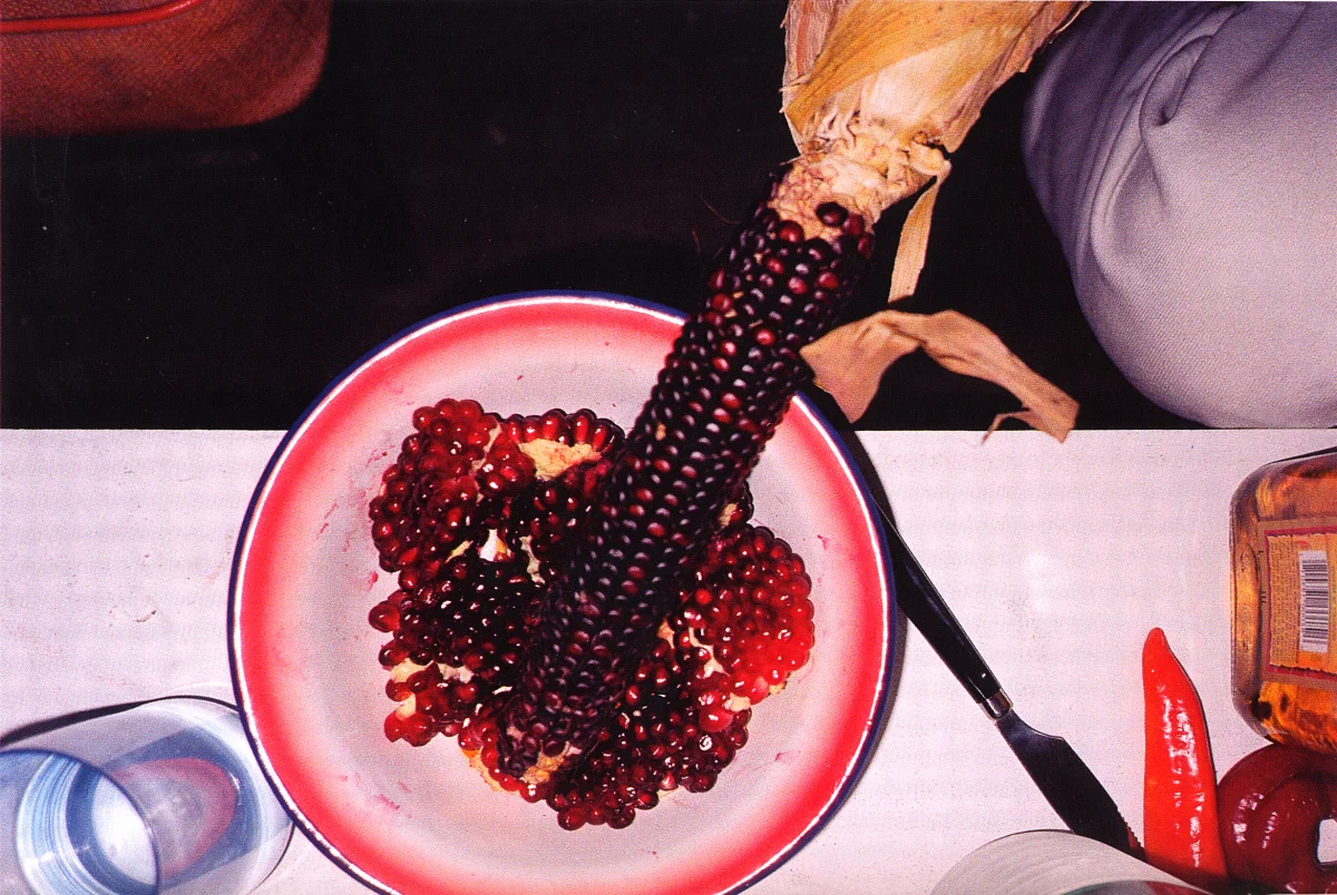 Wolfgang Tillmans, indian corn & pomme granate, 1994