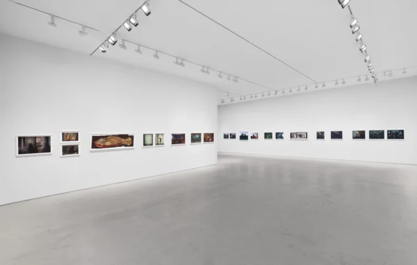 Annie Leibovitz: Stream of Consciousness @Hauser & Wirth 22nd Street, New York  - GalleriesNow.net 