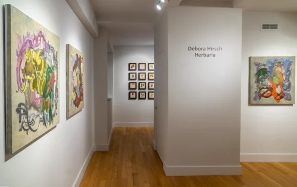 Debora Hirsch: Herbaria @Hutchinson Modern & Contemporary, New York  - GalleriesNow.net 