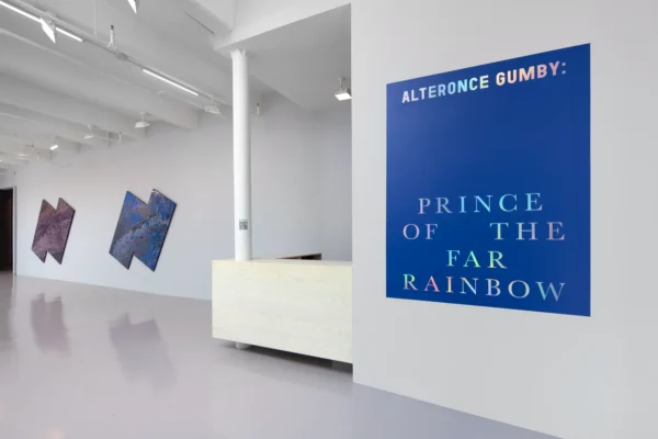 Alteronce Gumby: Prince of the Far Rainbow @Nicola Vassell Gallery, New York  - GalleriesNow.net 