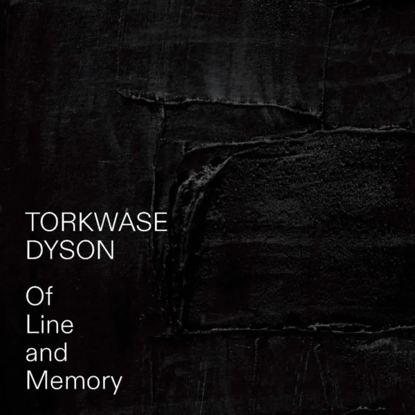 Torkwase Dyson: Of Line and Memory @Gray Chicago, Chicago  - GalleriesNow.net 