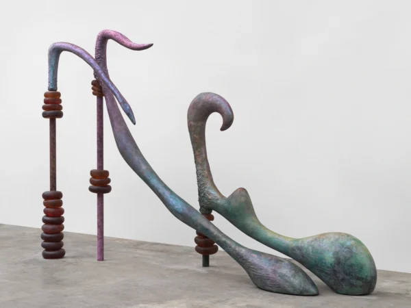 Camille Henrot. A Number of Things @Hauser & Wirth 22nd Street, New York  - GalleriesNow.net 