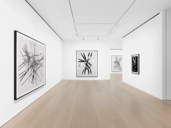 Thomas Ruff: expériences lumineuses @David Zwirner, London  - GalleriesNow.net 